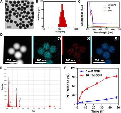 Radiosensitizing effects of pyrogallol-loaded mesoporous or-ganosilica nanoparticles on gastric cancer by amplified ferroptosis